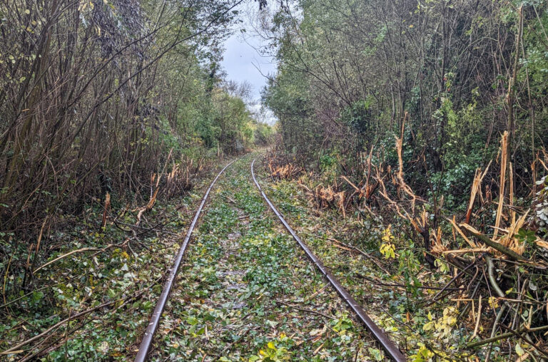 Limerick residents lose privacy to Foynes rail project