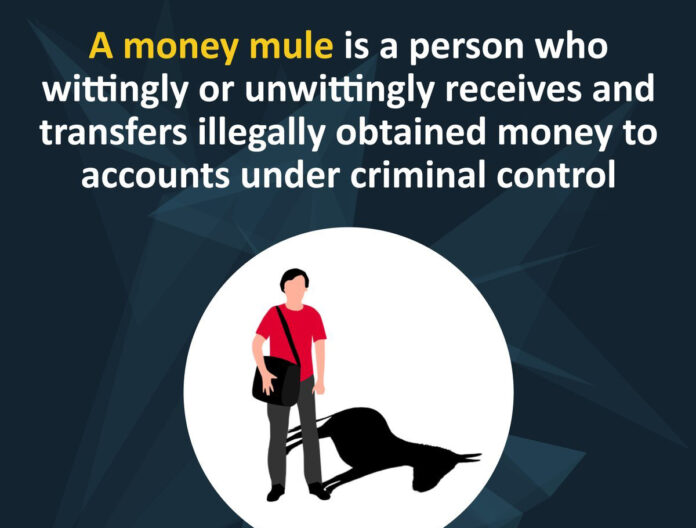 Money mule