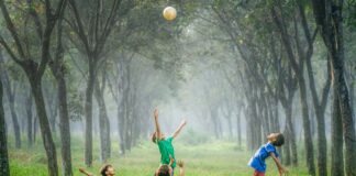 four boy playing ball on green grass