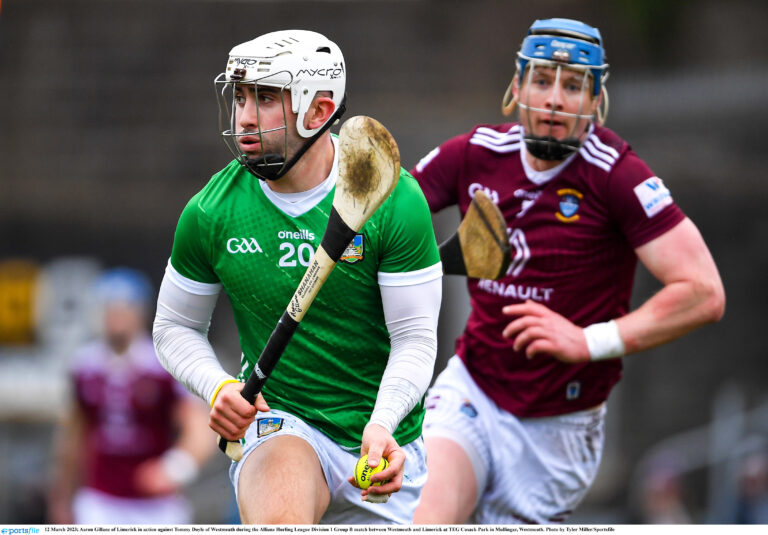 Wexford next up for Limerick hurlers