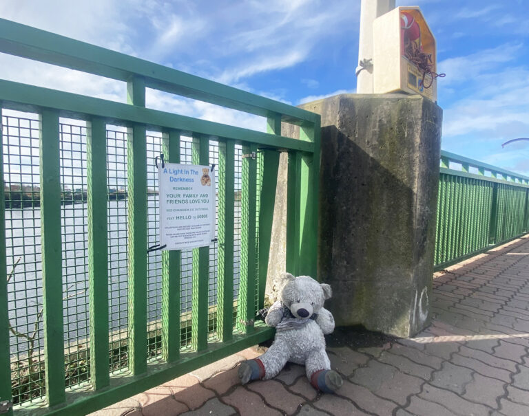 Limerick bear on the bridge is a sign hope for people in distress
