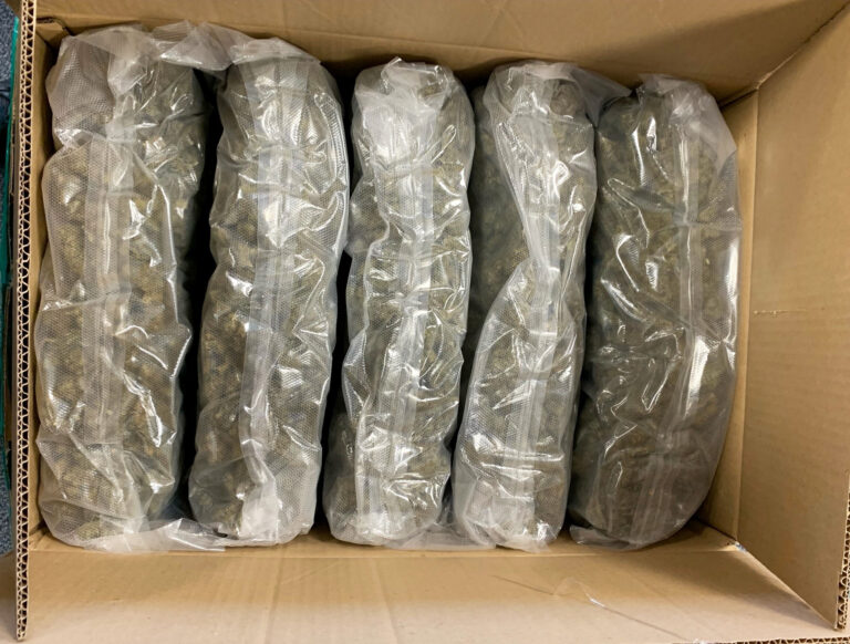 Man arrested as €200,000 worth of cannabis seized in Limerick