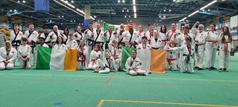 Success for Limerick martial arts students 
