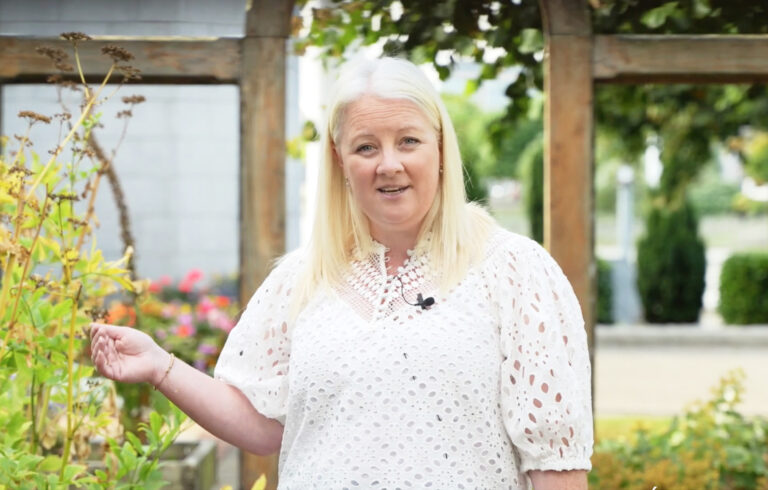 Council and media urged not to be festival party poopers
