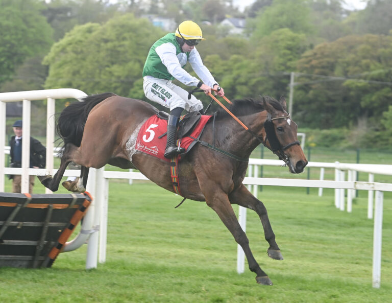 Limerick wins on the horseracing scene 