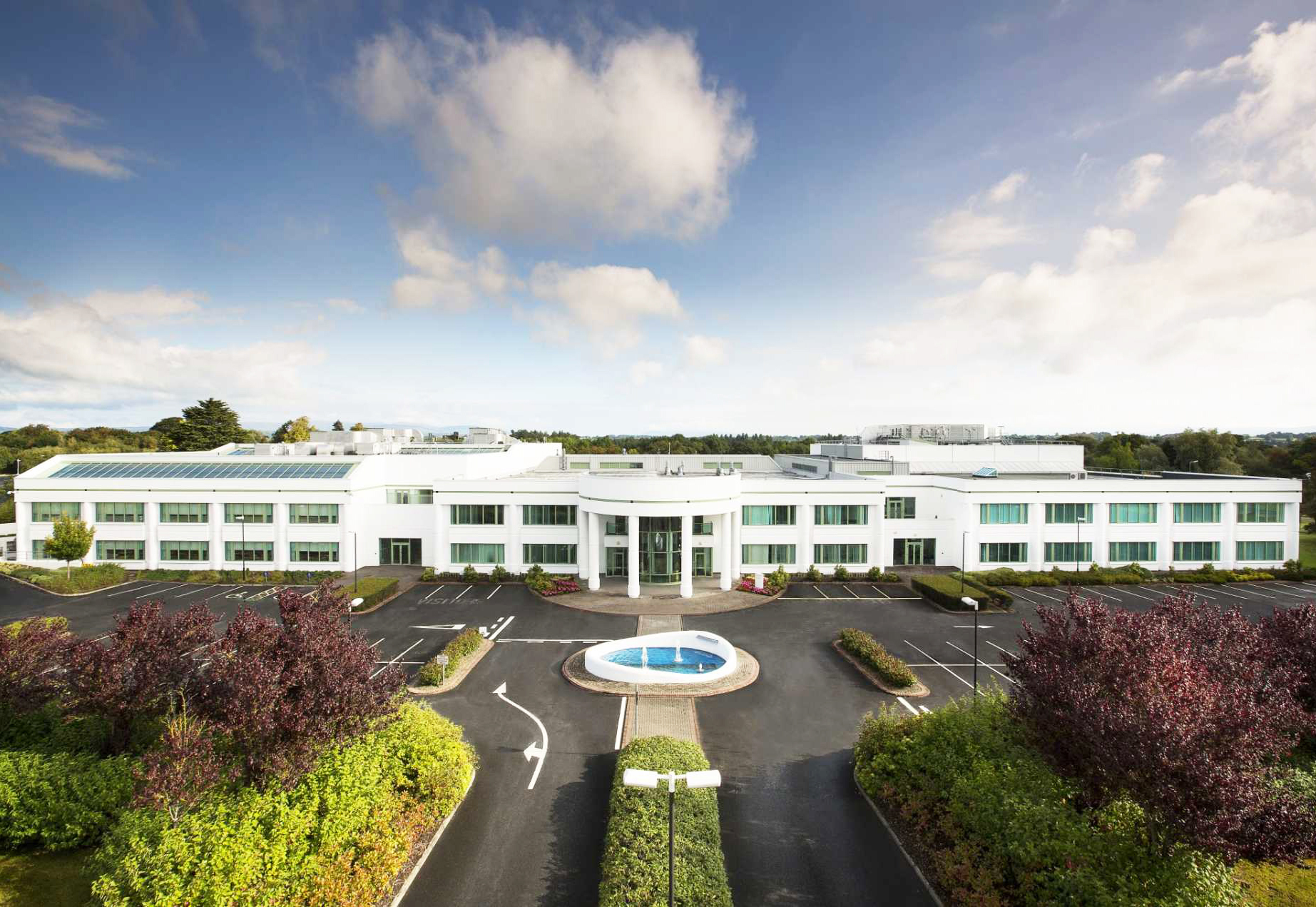 27 Limerick workers at risk over Cook Medical job losses