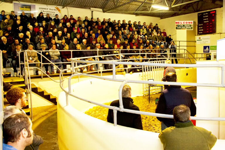 Limerick mart worker not guilty of baton assault on farmer