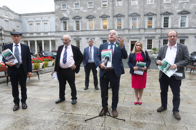 Limerick TD involved in rural political party talks