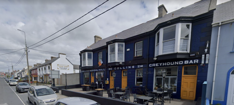 Limerick woman went ‘berserk’ in back of Garda car after calling Gardaí ‘skanky f–kin’ pigs’