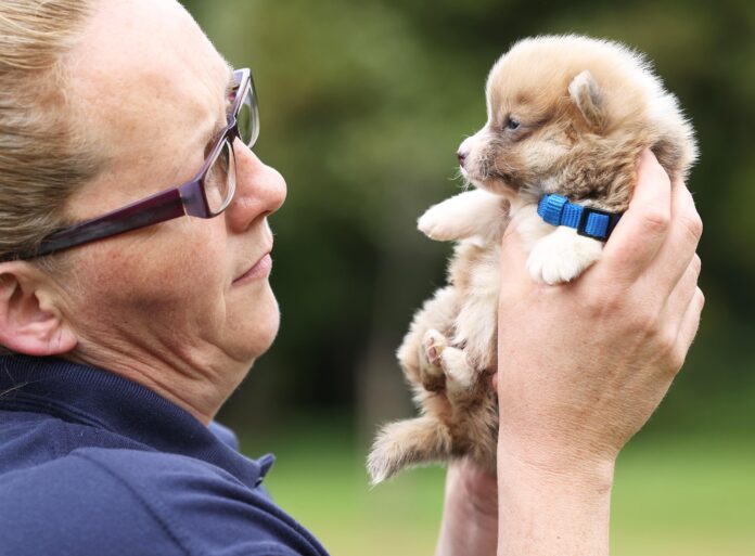 ISPCA National Emergency Appeal 1