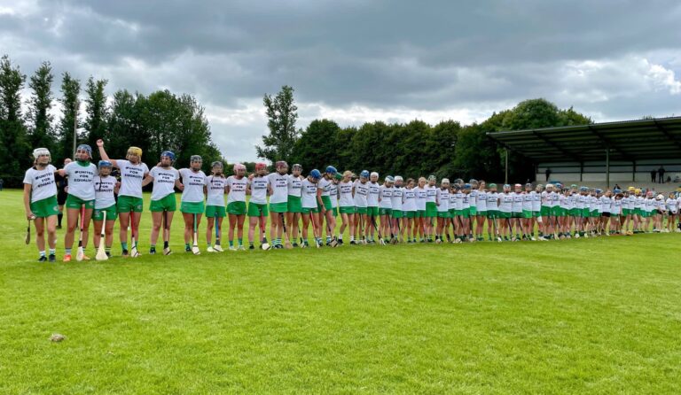 Senior camogie status retained by Limerick after win over Offaly