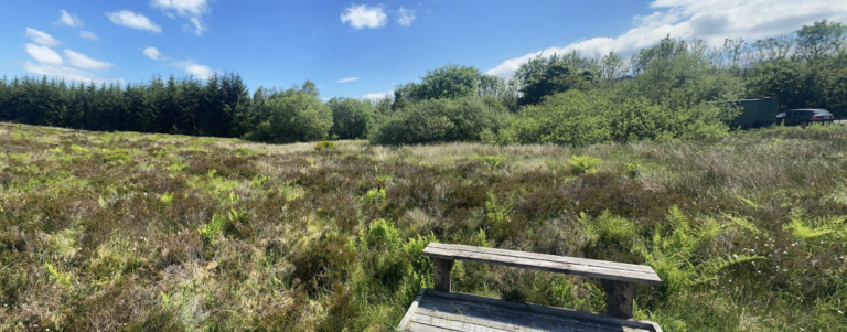 Funding boost for nature works at Griston Bog