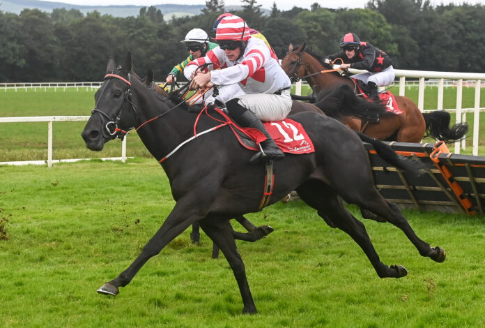 Rathnaleen Kal and Gary Noonan of Newcastle West race away from the final hurdle to win for Athea trainer Eoin McCarthy at Cork recently. Picture courtesy of Racing Post.