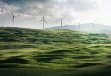 wind turbine surrounded by grass