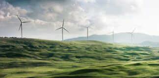 wind turbine surrounded by grass