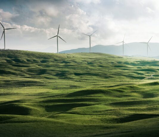 wind turbine surrounded by grass