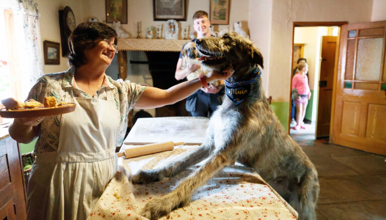 Gentle giants return to Bunratty Castle