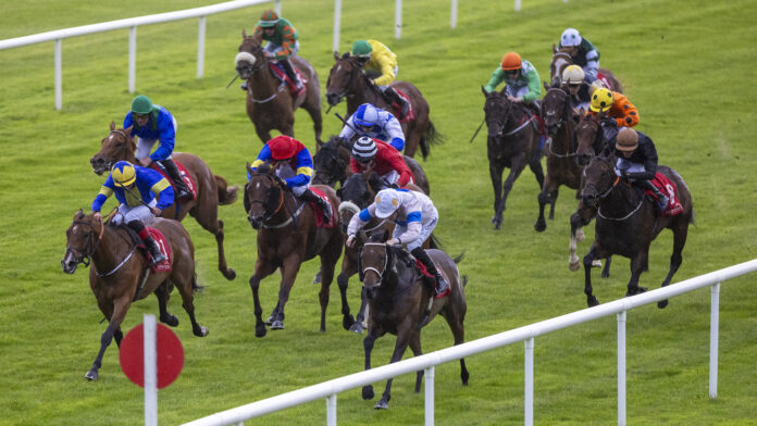 web Linger For Longer comes up the stands’ side rail to win for trainer Austin Leahy of Athlacca and red-hot Billy Lee of Ballingarry at Cork. Photo by Patrick McCann of Racing Post