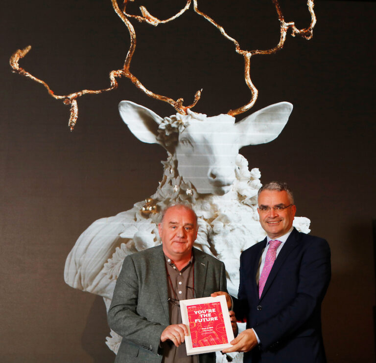 Limerick ceramic artist wins national design award