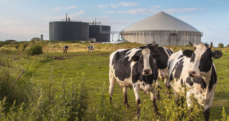 Limerick’s biomethane could replace all the natural gas consumed in the county