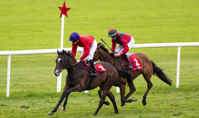 Curragh trainer John O'Donoghue and Wesley Joyce of Moyross teamed up to win with Final check at Punchestown. Photo by Patrick McCann of Racing Post web