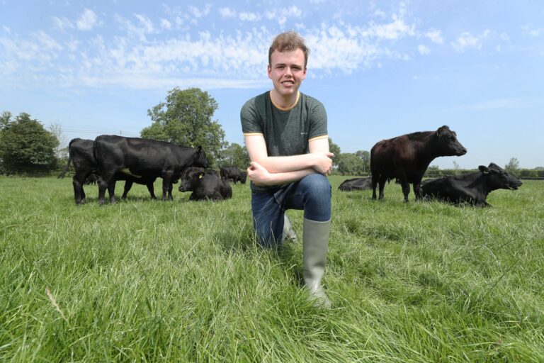 A day on the farm with Limerick’s Deputy Mayor Dan McSweeney