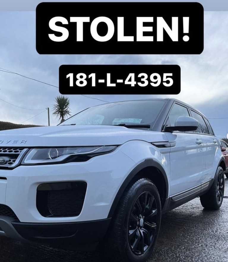 Limerick influencer asks followers for help in car theft
