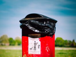 red and black trash bin on green grass field during daytime