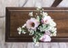 pink and white flowers