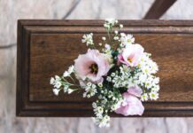 pink and white flowers