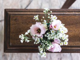 pink and white flowers