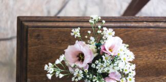 pink and white flowers