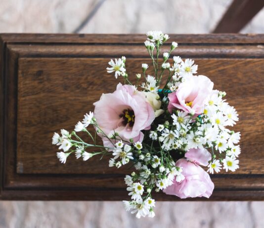 pink and white flowers