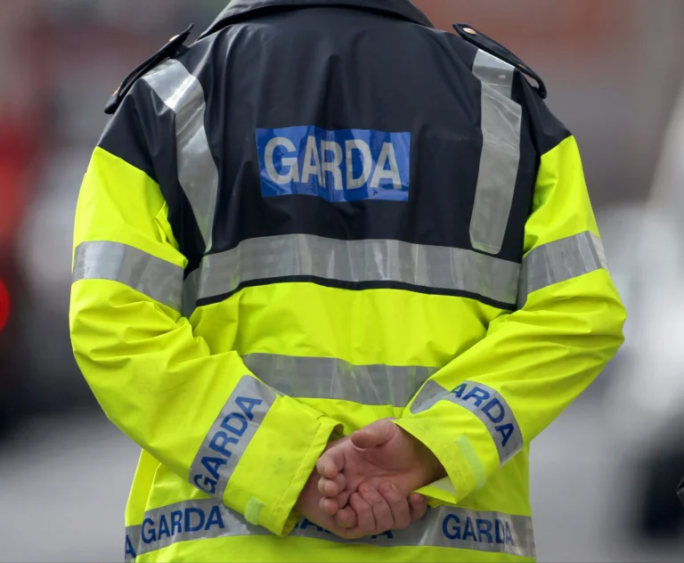 One arrested in €80,000 cocaine seizure in County Limerick