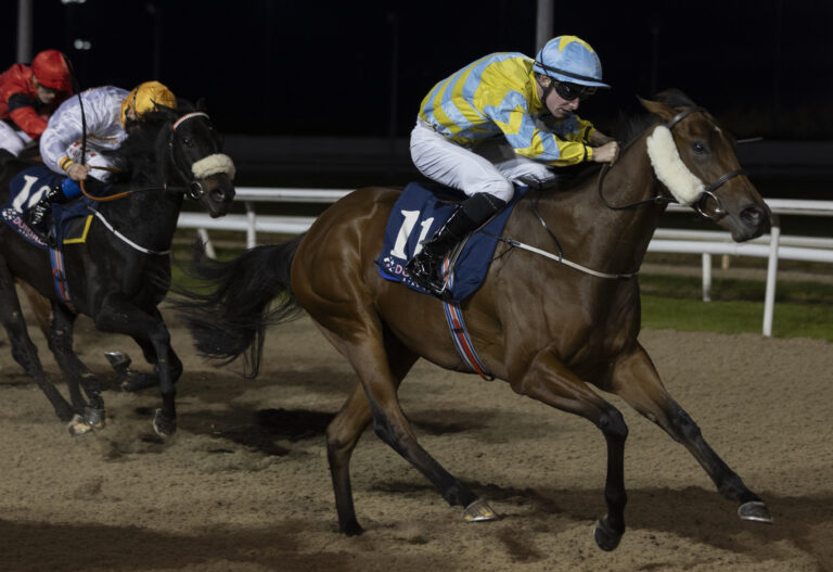 McNamara lands 50/1 winner at Galway