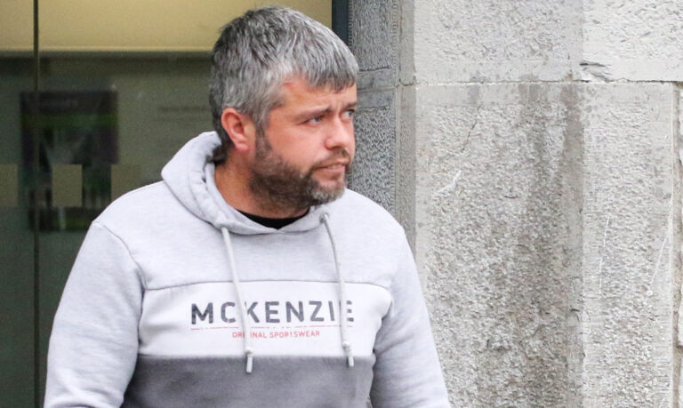 Limerick man appears on cruelty charges after Gardaí seized dogs