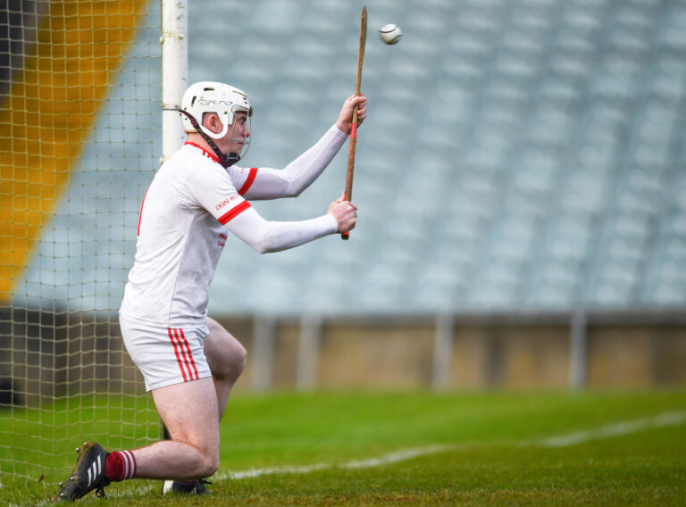 History created in Limerick SHC