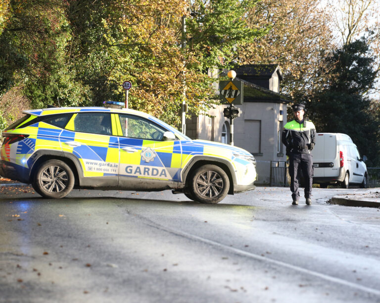 Gardaí seeking witnesses after driver dies in border bridge collision