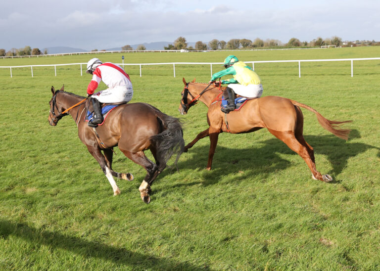 Athea-trained Name Me Famous wins at Thurles