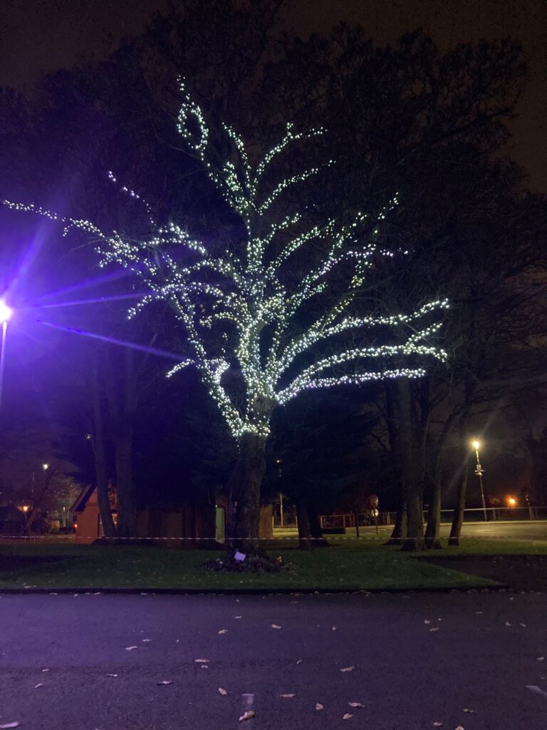 Milford Care Centre celebrate 25 years of Light up a Memory