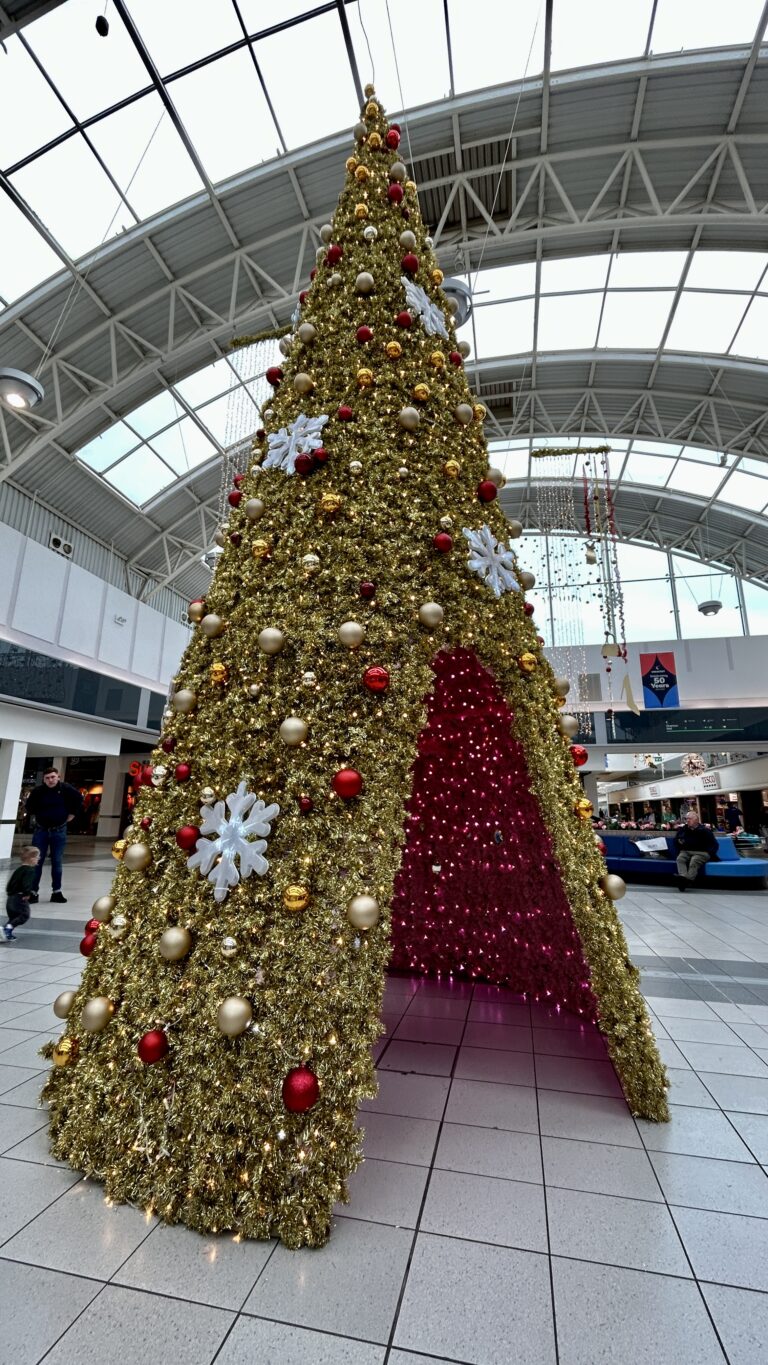 Christmas kicks off at the Crescent Shopping Centre