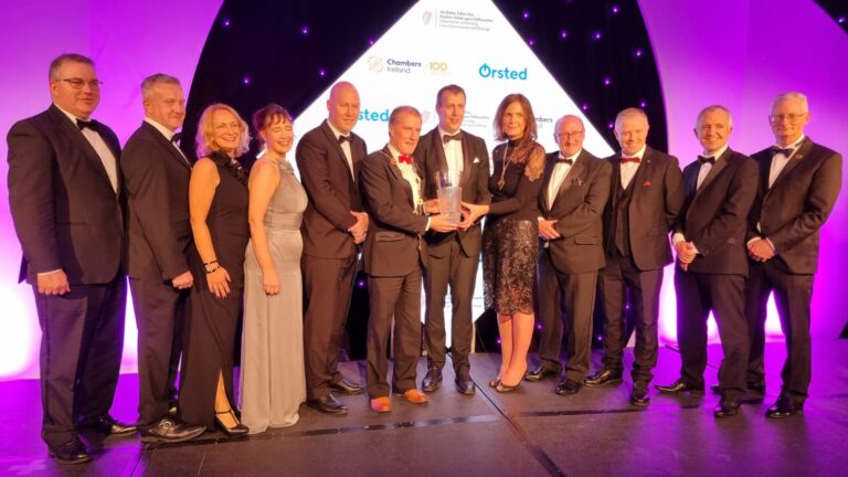 Limerick City and County Council named Local Authority of the Year