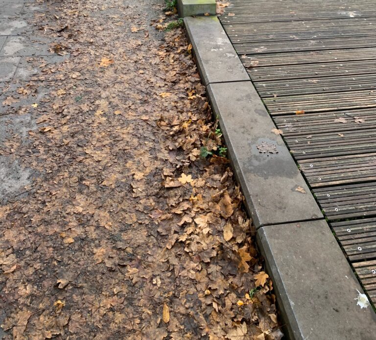 Green Party local election candidate calling for improved maintenance of city centre