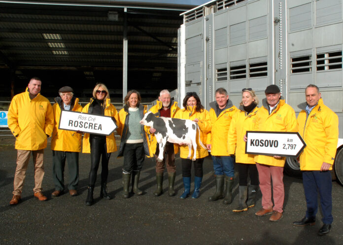 Spotlight - Bothar - Bothar Roscrea 14-11 23 (3)BOTHAR & DONORS