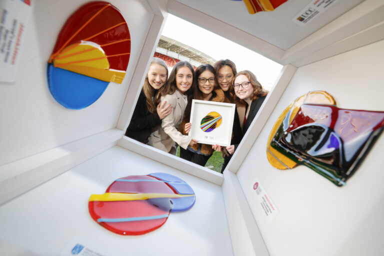 Eight Limerick students awarded prestigious STEM scholarships