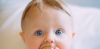 selective focus photography of baby holding wooden cube