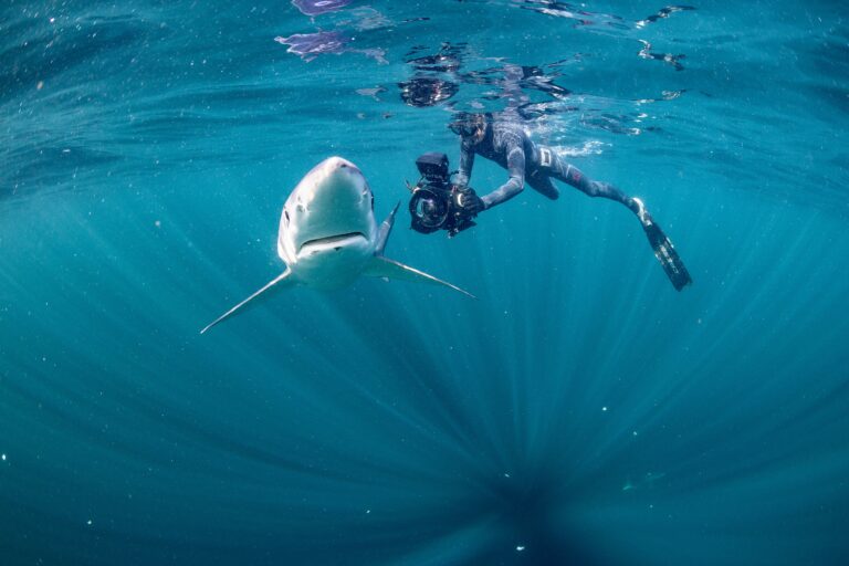 Award-winning underwater cameraman, Ken O’Sullivan goes Into The Deep