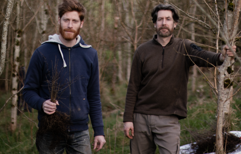 Limerick social enterprise calls on schools to plant tiny forests