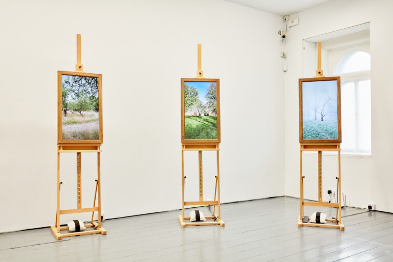 Screendance in the Gallery continues at Limerick City Gallery of Art