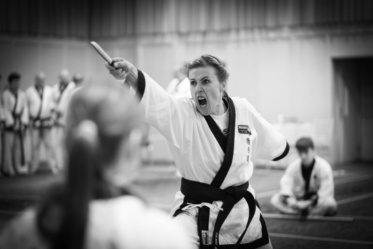 International Tang Soo Do tournament hits Limerick